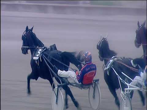 Trotto 22/12/2019 - 5ª corsa