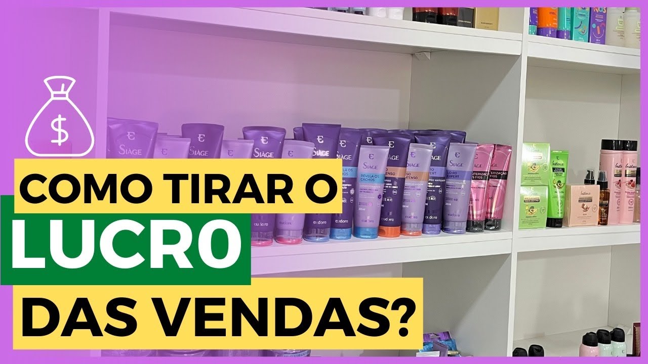 COMO SEI O QUANTO POSSO TIRAR DO LUCRO DAS VENDAS PRA MIM?