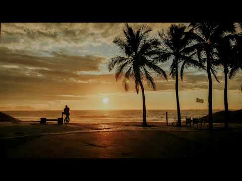 [Free] 🎵 Daiquiri Beach  🏖️ -  Y3NDO 🎧 [Vlog No Copyright Music]/Music to travel