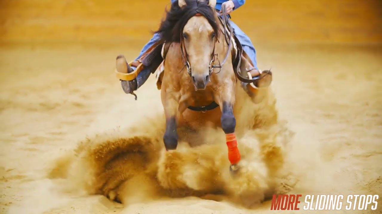 Flex+Max Max Means More