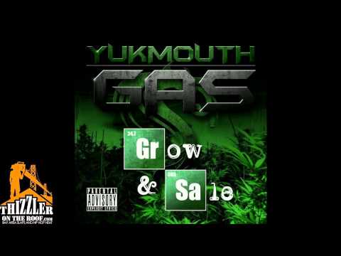 Yukmouth ft. B-Legit, Berner, Matt Blaque - Higher Ground [Thizzler.com]