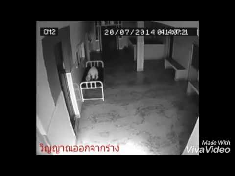 มีศักยภาพ แต่มีความปรารถนาที่ไม่มี ดื่มไข่ดิบแรง