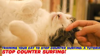 Training Your Cat To Stop Counter Surfing: A Tutorial