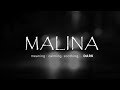 MALINA Telugu Short Films 2017 Latest Short Films Suspense Thriller