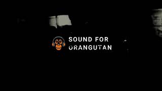 Sound for Orangutan 2018