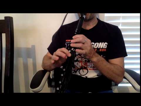 "Closer" by the Chainsmokers (Beginning Clarineo by a Beginner - 5th day playing clarinet)