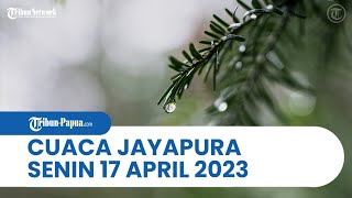 Cuaca Kota Jayapura Senin, 17 April 2023: Hujan Intensitas Ringan akan Mengguyur Distrik Abepura