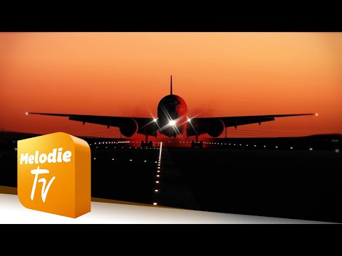 Die Domingos - Pilot in der Nacht (Offizielles Musikvideo)