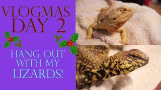 Vlogmas Day 2 | HANG OUT WITH MY LIZARDS!