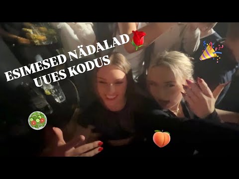 ESIMESED NÄDALAD UUES KODUS