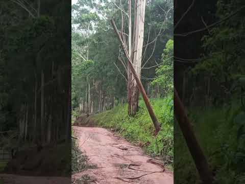 POSTE CAÍDO NA REDE ELÉTRICA NO BAIRRO DA LARANJEIRAS RUA TERTULIANO