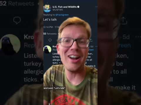 YouTube video
