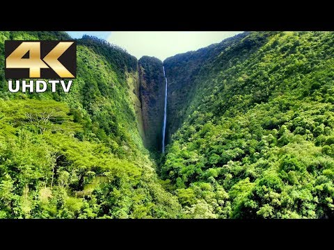 Samsung 4K Demo - Jump into Nature in Dolby Digital