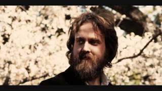 Iron &amp; Wine - Trapeze Swinger
