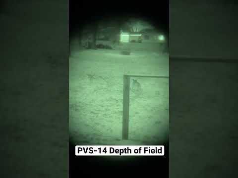 Demonstrating Adjustable Depth of Field with Night Vision Dogs and a PVS-14