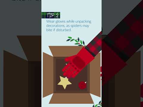 Holiday Pest-Proofing Part 3: The Decorations