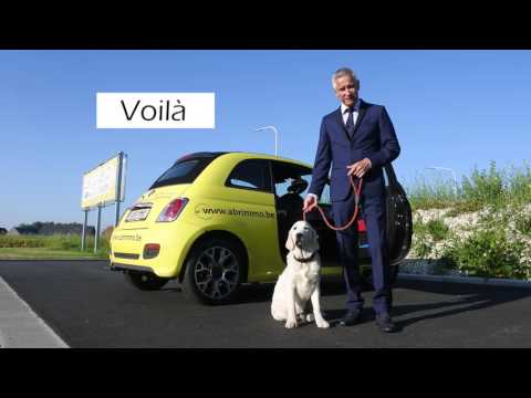 Venez nous rendre visite à Estaimpuis