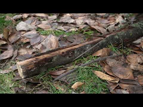 Презентація пилки BaseCamp Paracord Saw