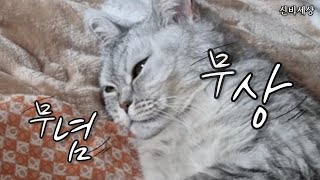 [ENG SUB] It's a very short healing video.