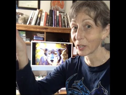 What Happens During an Animal Communication Session with Me ⁉️🧐  Watch This!