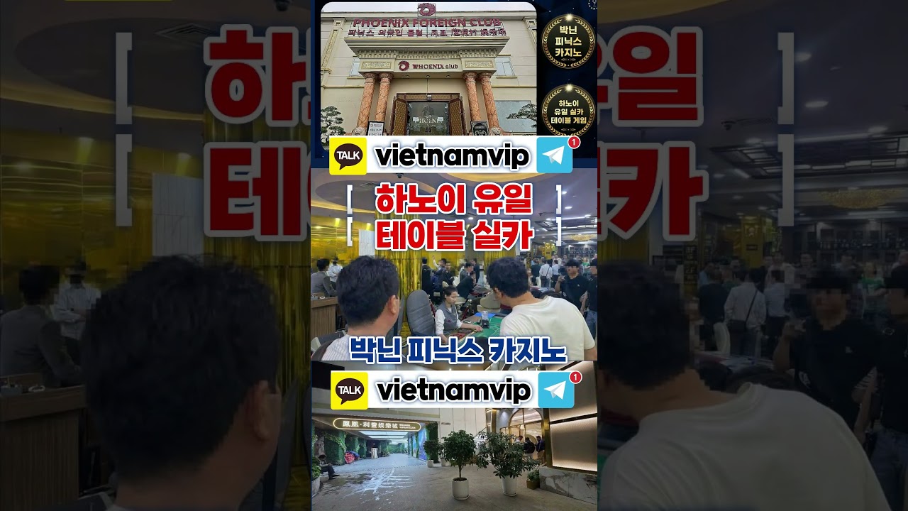 하노이 카지노? 유일한 테이블 실카?박닌 피닉스 카지노? #하노이카지노 #박닌카지노