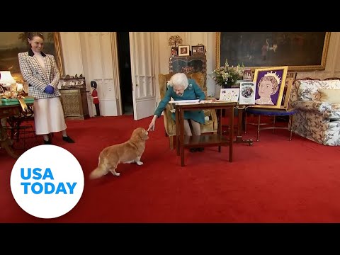 Queen Elizabeth II’s corgis rehomed with Duke and Duchess of York USA TODAY