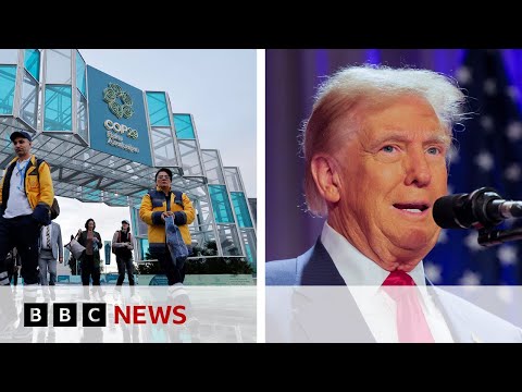 Video | How will Donald Trump's US election win affect COP29 climate talks? | BBC News