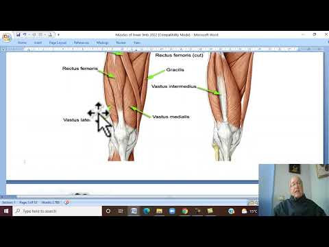 Musculo-skeletal Module ,Anatomy of Lower Limb in Arabic 6 ( Muscles of front of thigh  ) , 2022