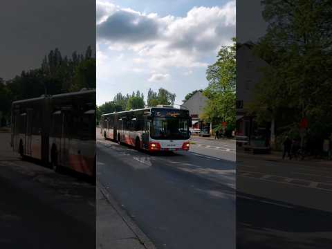 Linie 16 am Schenefelder Platz 🚍 | #shorts #bus
