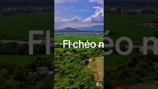 Follow chéo e nha