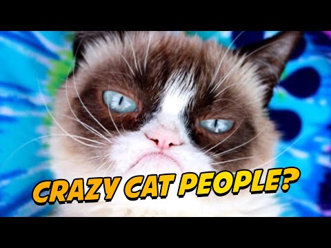 Crazy Cat People Talk About Cats - STLV2021