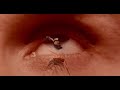 Silent Planet Dreamwalker Official Visualizer