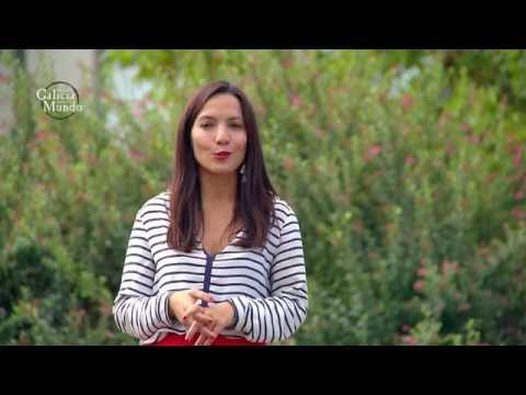 "O BALADO", DONDE RESIDE EL GUSTO (BOQUEIXÓN)