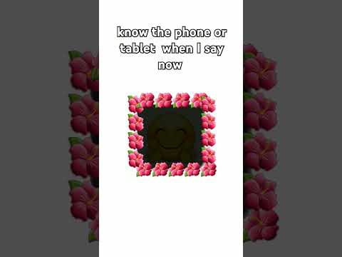 sake the fon when to say now #tutorial?