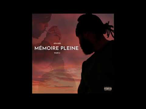SY.NG X SPAARK - TA  - ( MEMOIRE PLEINE #2 )