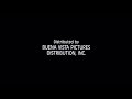 Buena Vista Pictures Distribution Inc Walt Disney Pictures 1988 1996