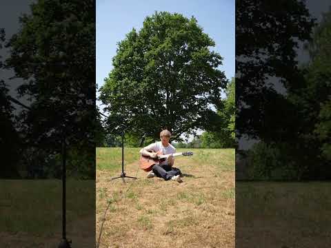 When the framing is perfect… #acousticguitar #guitar