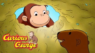Save the Gophers! 🐵 Full Episodes | Curious George