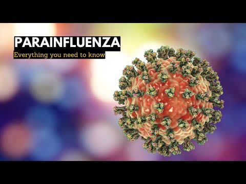 Nasal and Paranasal Tumors Causes Signs and Symptoms Diagnosis and Treatment