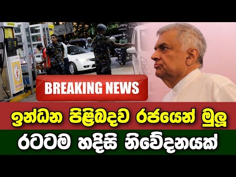 Breaking News | A special announcement from the government about fuel | Hiru News