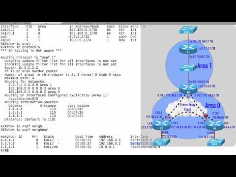 OSPF Verification