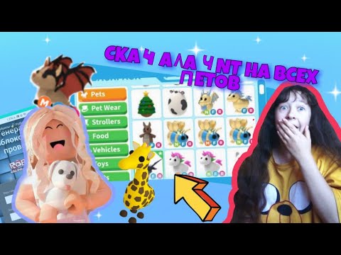 Получила всех петов в adopt me бесплатно!😱 как взломать адопт ми на петов///// раздаю питомцев