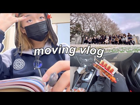 moving vlog 🇰🇷 | começando do zero, primeiro dia na escola nova, primavera, mta comida