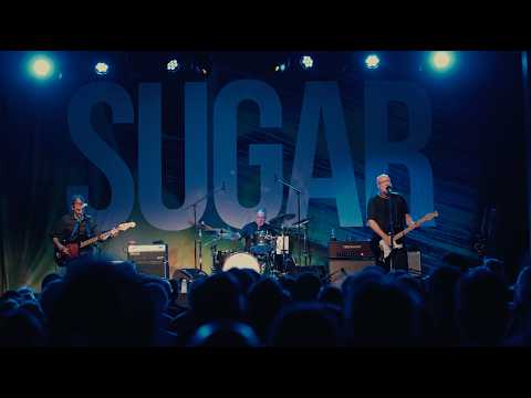 Thumbnail for Sugar - Changes: The Story of Sugar by R.E.M.
