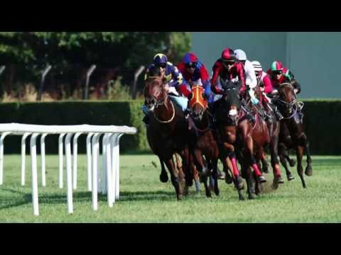 skarom.&.race - vintage style