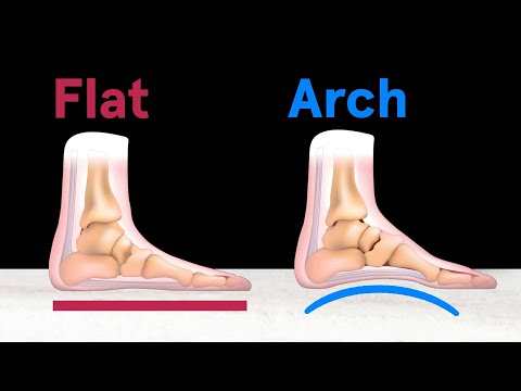 Why You Need These Useless Body Parts
