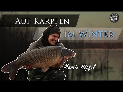 Dreambaits präsentiert: Auf Karpfen im Winter - Martin Höpfel (inkl. Tipps & Tricks)
