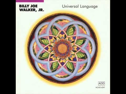 Billy Joe Walker Jr. - I Can Fly