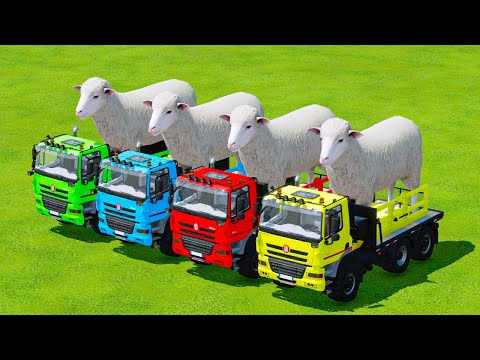 LOADING OF GIANT SHEEP WITH FENDT 1038 COLOR TRACTORS & TRANSPORTATION - Farming Simulator 2022