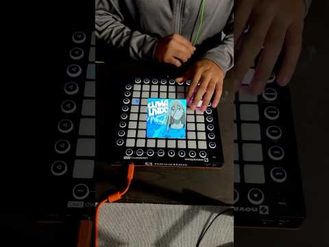 CLIMA LINDO Slowed Brazilian Funk on Launchpad! #shorts #phonk #viral #anime #chill #funk #fyp